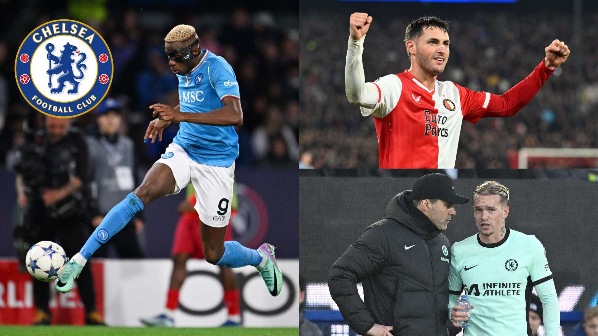 游客和收藏 游客和收藏